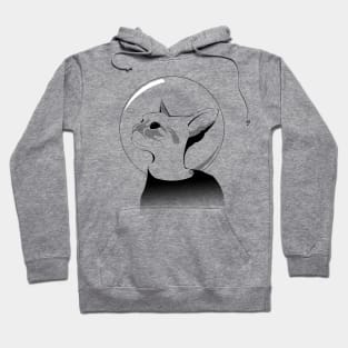 Space Cat Hoodie